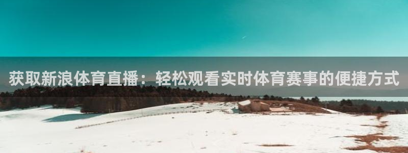 极速nba直播体育直播吧360：获取新浪体育直播：轻松观看实时体育赛事的便捷方式