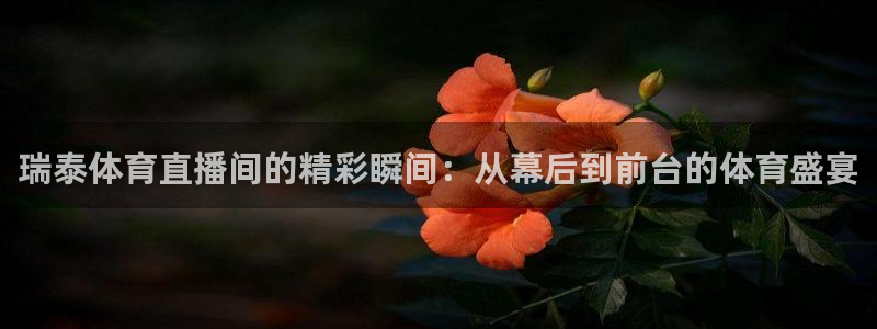360雨燕免费直播：瑞泰体育直播间的精彩瞬间：从幕后到前台的体育盛宴