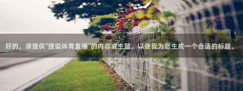 360直播足球直播雨燕足球直播：好的，请提供\