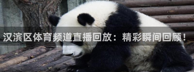 360足球体育直播免费观看：汉滨区体育频道直播回放：精彩瞬间回顾！