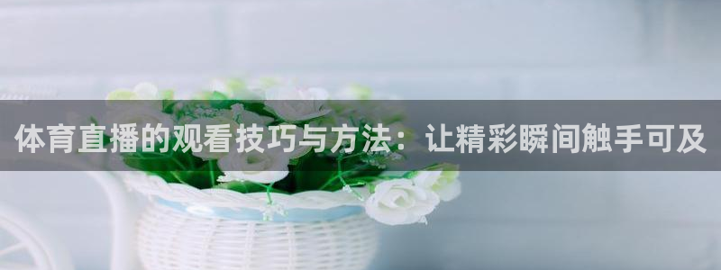 360免费体育直播网：体育直播的观看技巧与方法：让精彩瞬间触手可及