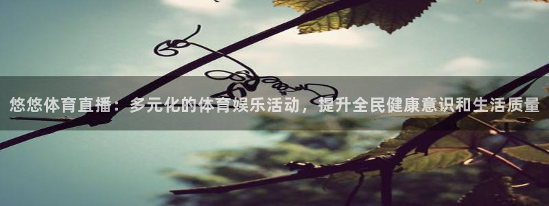 360足球直播高清直播：悠悠体育直播：多元化的体育娱乐活动，提升全民健康意识和生活质量
