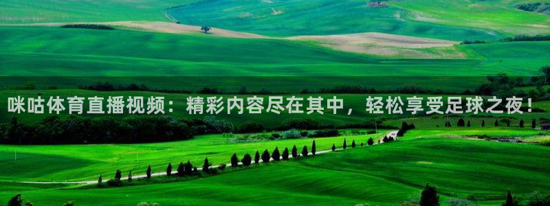 雨燕360体育现场直播