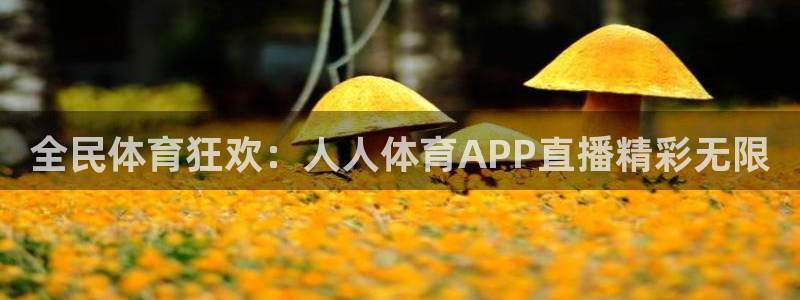 雨燕360体育直播在线观看：全民体育狂欢：人人体育APP直播精彩无限