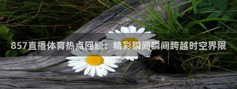 360体育在线直播免费：857直播体育热点回顾：精彩瞬间瞬间跨越时空界限