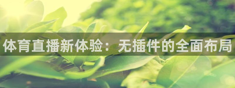 360足球直播视频雨燕