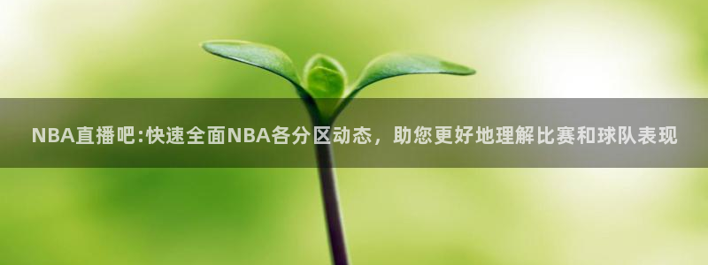 雨燕直播足球360