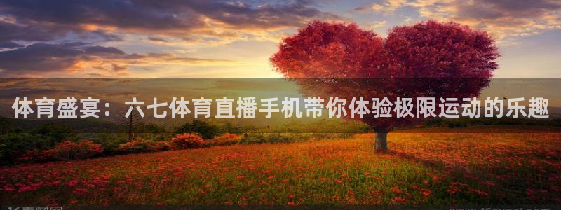 360低调看nba直播：体育盛宴：六七体育直播手机带你体验极限运动的乐趣